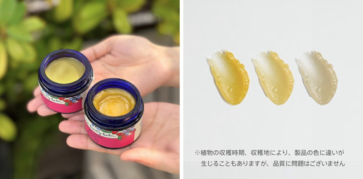 ニールズヤード レメディーズ ワイルドローズ ビューティバーム（プレミアム高機能化粧水のサンプル6包付き）